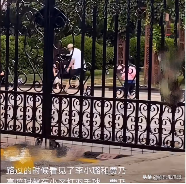 賈乃亮也陷入偷稅風波?工作室迅速闢謠,前妻李小璐復合意願很大