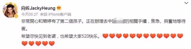 向佐官宣郭碧婷懷二胎！產子不到一年又懷孕，向太放話已備好重禮