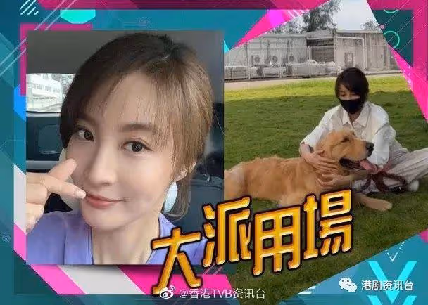 林夏薇新劇演獸醫!養狗經驗大派用場