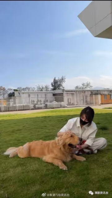 林夏薇新劇演獸醫!養狗經驗大派用場