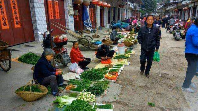 「兒媳，我細心照顧你，你卻百般挑剔我」「媽，是你主動要來的」