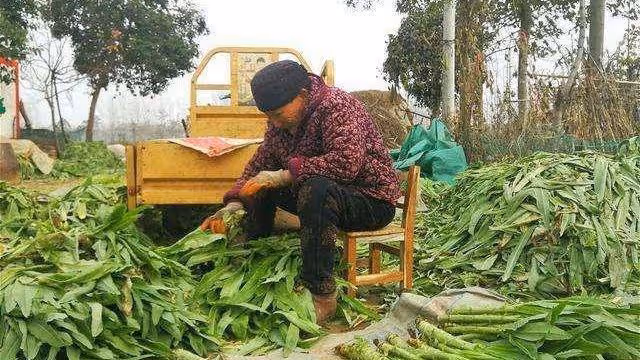 「兒媳,把你的婚前房過戶給我孫子」「媽,這房和你兒子沒關係」