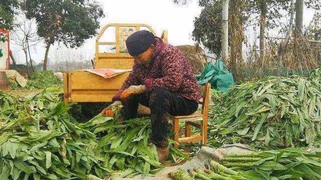 「兒媳,我沒義務貼錢給你們買房」「媽,我們是一家人,該給錢」