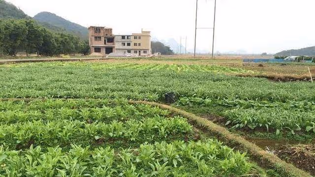 「兒媳,我們想搬過來住,你咋不同意」「媽,我養家,我做主 」