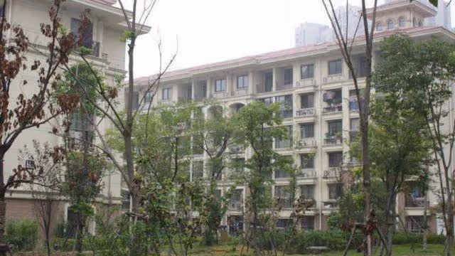 「兒媳,我想開超市,借十萬給我吧」「媽,不借,自己想辦法」