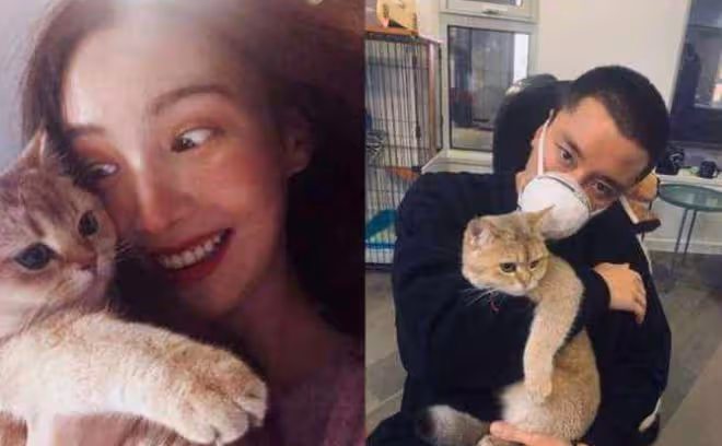 賈乃亮4字回應新戀情,李小璐現在感情空窗,為閨蜜豪送千朵玫瑰