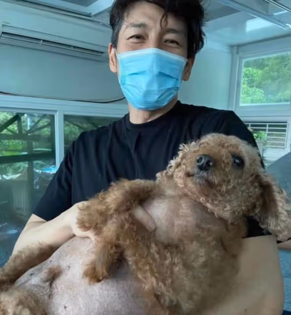 有愛!TVB知名男星協助拯救流浪貓,更主動承擔手術費獲網友點贊