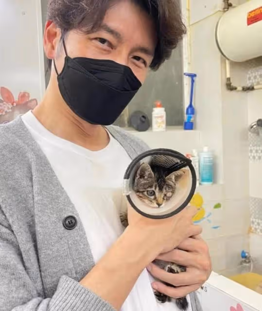 有愛!TVB知名男星協助拯救流浪貓,更主動承擔手術費獲網友點贊