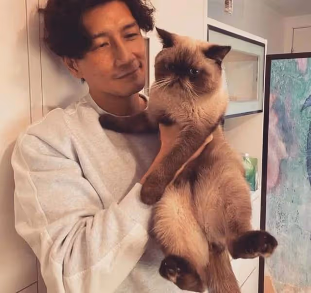 有愛!TVB知名男星協助拯救流浪貓,更主動承擔手術費獲網友點贊