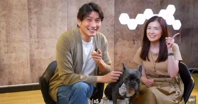有愛！TVB知名男星協助拯救流浪貓，更主動承擔手術費獲網友點贊