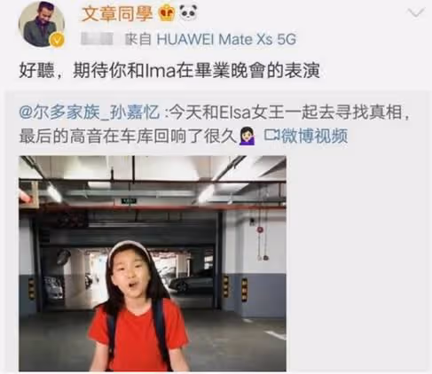 文章想和馬伊琍復合？種種行為驗證余情未了，女方態度說明一切