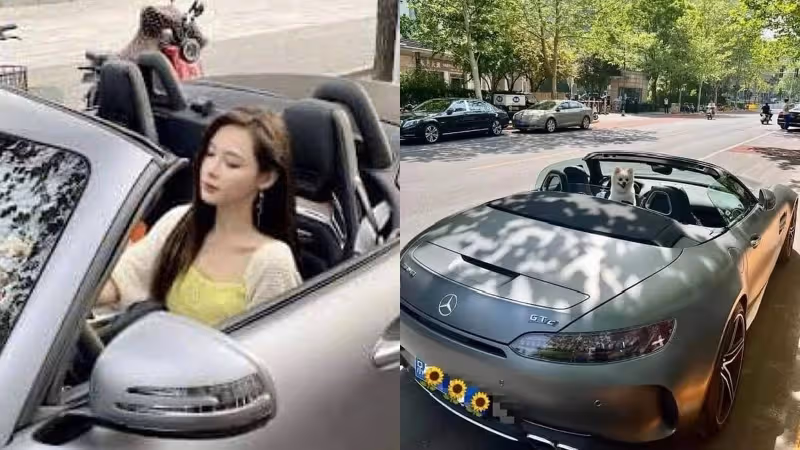 汪小菲爆大手筆送跑車　張穎穎默認女友身份？