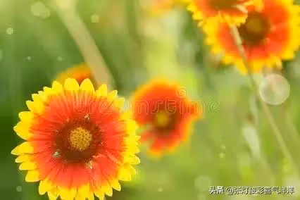 媽媽請您尊重我 不要催婚催生 我不想結婚 您不要老逼我去相親