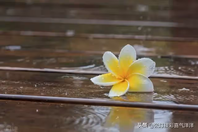 媽媽請您尊重我 不要催婚催生 我不想結婚 您不要老逼我去相親