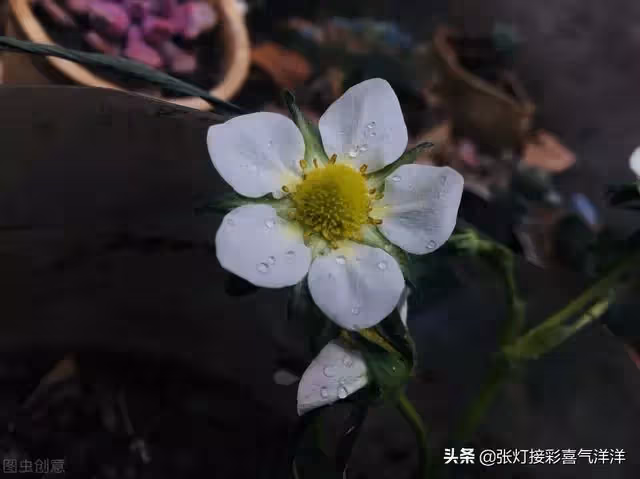 媽媽請您尊重我 不要催婚催生 我不想結婚 您不要老逼我去相親