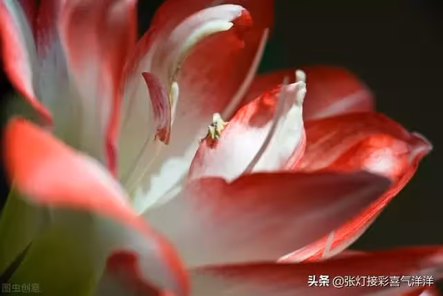 媽媽請您尊重我 不要催婚催生 我不想結婚 您不要老逼我去相親