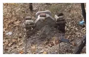 男子陪母親公園散步,母親卻說到:你放心走吧,不用牽掛家裡