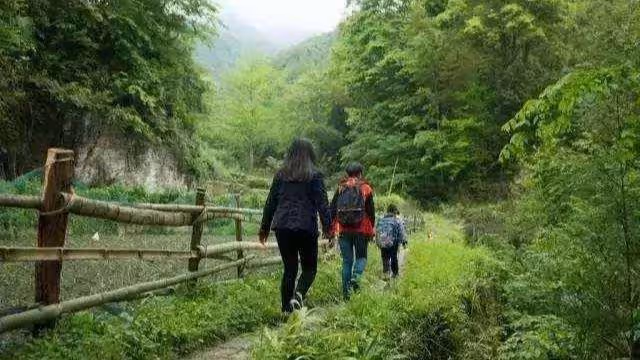 我生兒子婆婆獎勵我十萬,二胎生女兒,女兒滿月婆婆卻讓我退錢