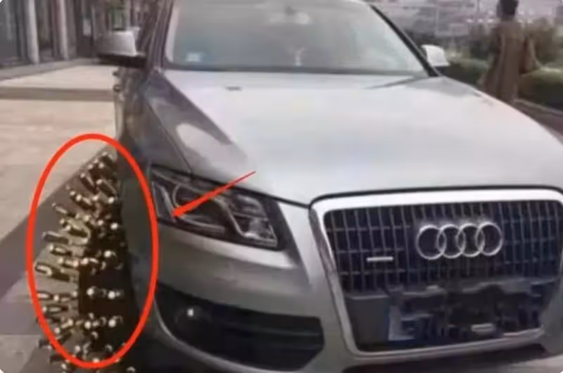 奧迪車違停「堵路口」路人喊挪車被懟「又沒停你家門口」,第二天挪車傻眼:汽車成「刺蝟球」