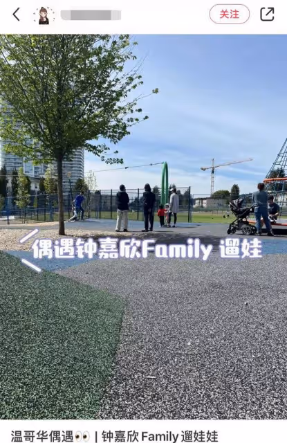 38歲鍾嘉欣定居加拿大，懷三胎帶倆娃散步，和老公住別墅生活愜意