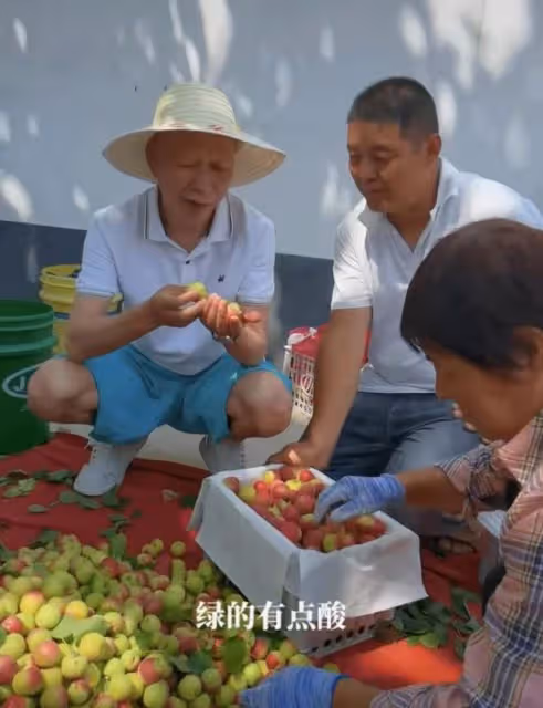 知名戲骨助農街頭賣水果!戴草帽烈日下搬貨,蹲路邊直接吃接地氣