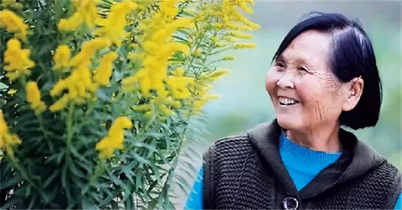 68歲老人苦尋當年17歲的初戀，只想說一句抱歉，花10年時間終於找到，真相卻讓她掩面痛哭