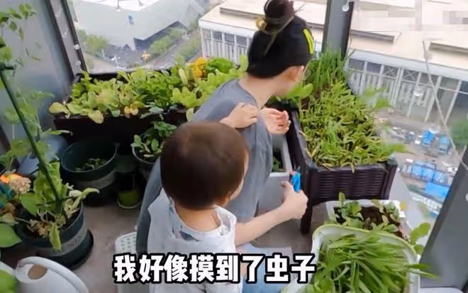 鄭愷苗苗在臥室打八段錦，媳婦孕肚搶鏡，吃泡麵慶祝結婚2周年