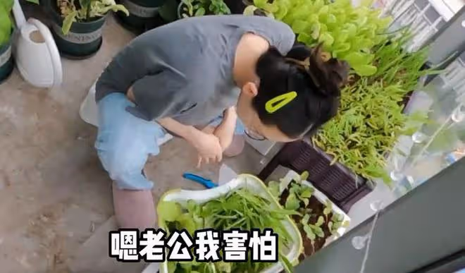 鄭愷苗苗在臥室打八段錦，媳婦孕肚搶鏡，吃泡麵慶祝結婚2周年