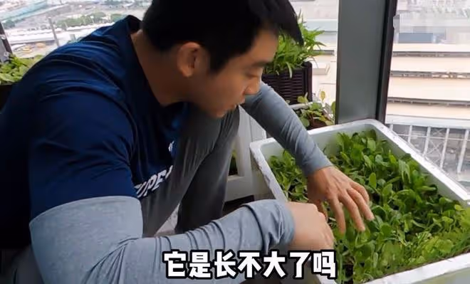 鄭愷苗苗在臥室打八段錦，媳婦孕肚搶鏡，吃泡麵慶祝結婚2周年