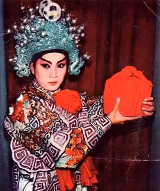 76歲陳寶珠,為愛遠走他鄉,最終與摯愛之人擦肩而過,如今再憶已看淡一切:有些錯過,是最好的結局