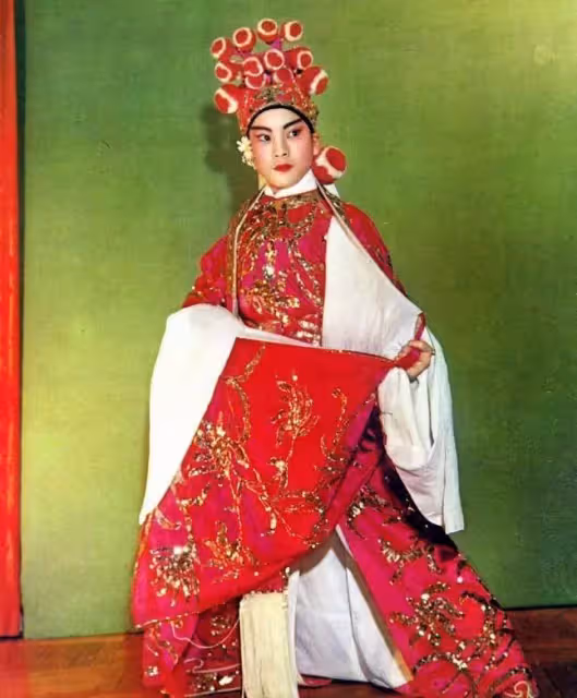 76歲陳寶珠,為愛遠走他鄉,最終與摯愛之人擦肩而過,如今再憶已看淡一切:有些錯過,是最好的結局
