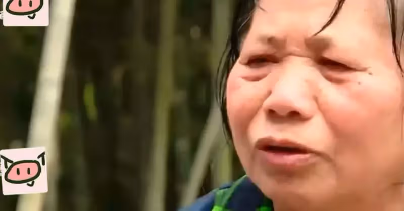 新生女嬰被父母賣掉，二十年後生父來認親：弟弟要結婚你來湊彩禮