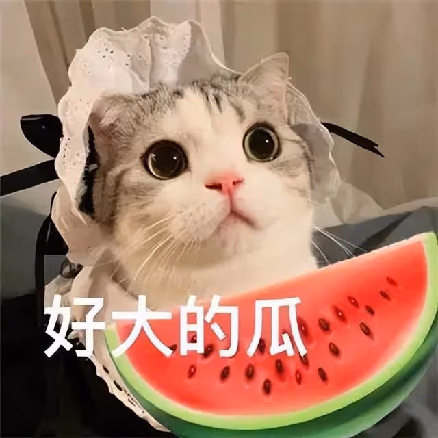 金珍妮出軌?疑似被拍到和金泰亨秘密出遊,正牌男友權志龍已取關