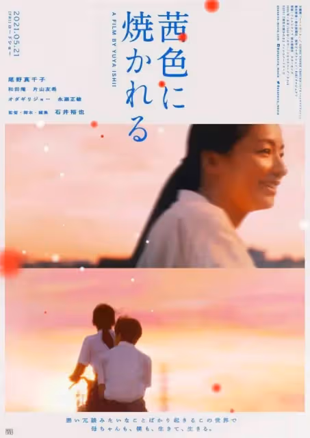 脫了,怒了,拼了,她這影后贏得漂亮
