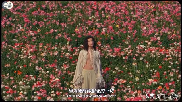 柯灰Conan gray:歐美男明星妖艷起來,還有女明星什麼事