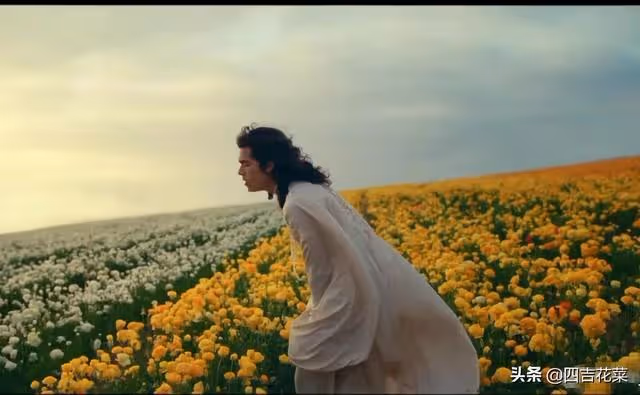柯灰Conan gray:歐美男明星妖艷起來,還有女明星什麼事