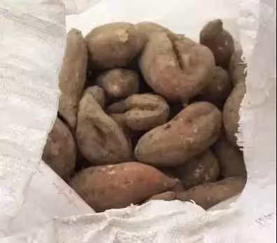 去女兒家借錢,被親家嘲諷,女婿拿袋紅薯打發我,回家後打開袋子,瞬間淚崩.
