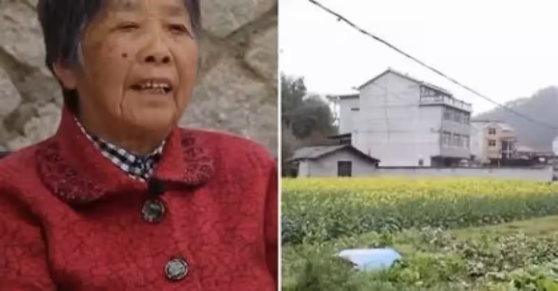 姐姐將老屋賣給殘障弟弟，14年後卻因一則「遷款謠言」反悔，將房偷過戶到兒子名下，結局卻讓她後悔萬分