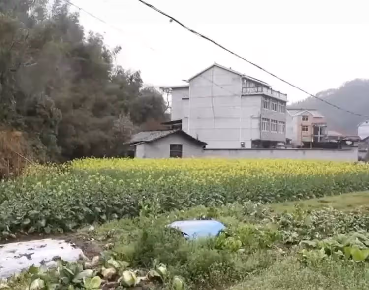 姐姐將老屋賣給殘障弟弟,14年後卻因一則「遷款謠言」反悔,將房偷過戶到兒子名下,結局卻讓她後悔萬分