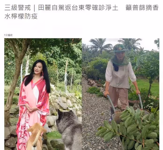 54歲田麗打扮樸素像農民,離婚後花千萬建豪宅獨居「種80棵樹養6隻貓狗」返璞歸真過平淡田園生活:餘生不再婚