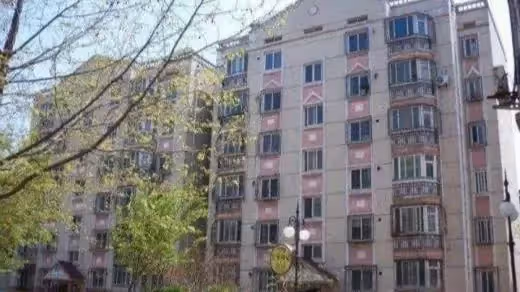 小姑子,我老公是不在了,可你要我把婚房送給你兒子?休想!