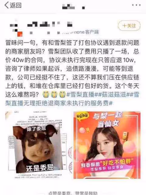網紅女主播雪梨成被執行人 凍結權益數額90萬元 網紅女主播雪梨成被執行人最新消息