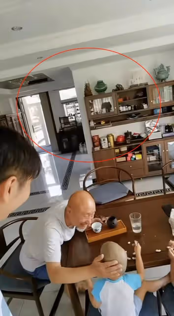 陳佩斯雙胞胎孫子首公開!光頭造型太像爺爺,已有一對雙胞胎孫女