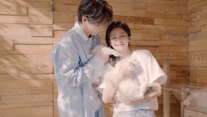白鹿曬新MV,和「男友」如膠似漆,溫馨纏綿