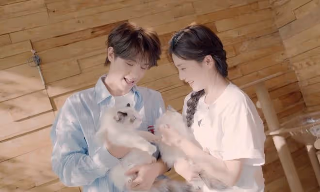 白鹿曬新MV,和「男友」如膠似漆,溫馨纏綿