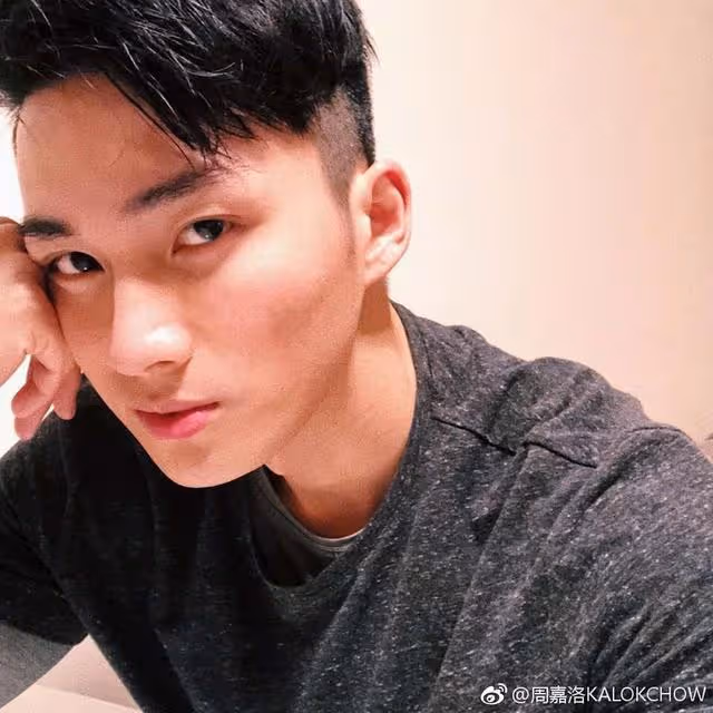 厲害！TVB下半年片單出爐，力捧小生手握四部劇成大贏家