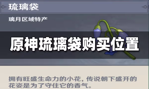 原神琉璃袋在哪購買 琉璃袋購買地點一覽