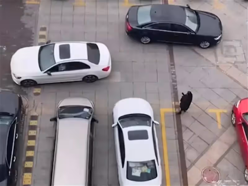 大媽為兒子人肉占車位,白車司機態度和善好心溝通,無奈大媽太強硬惡語相向,下秒一套瀟灑操作引全網讚