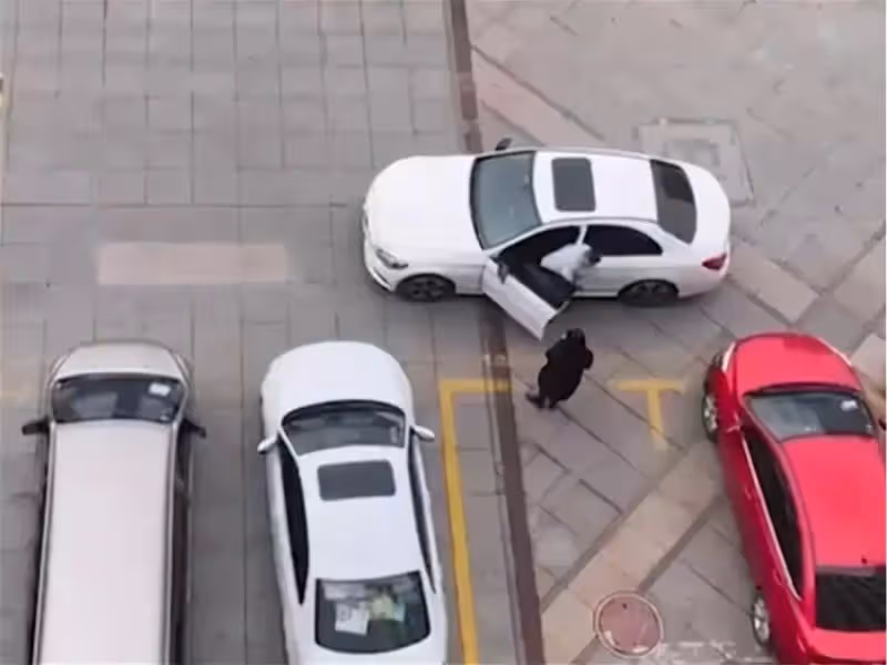 大媽為兒子人肉占車位,白車司機態度和善好心溝通,無奈大媽太強硬惡語相向,下秒一套瀟灑操作引全網讚