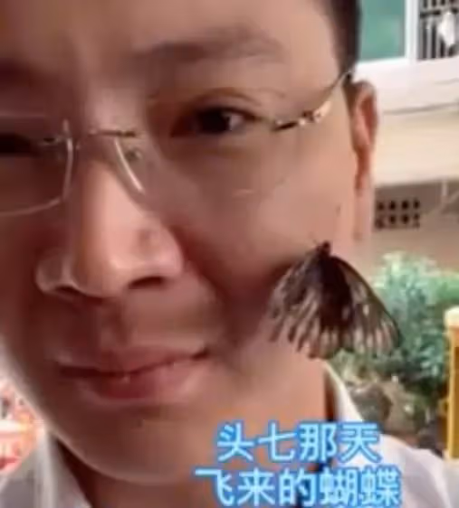 母親因病離開,頭七「飛來一隻胡蝶」停落臉頰不離去,父輕念「放心去吧」兒子痛哭:媽回來看我們了